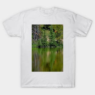 Lake Irene 2018 Study 7 T-Shirt